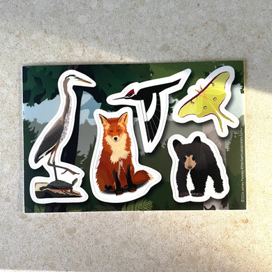 Designed by Washburn Wisconsin Artist, Bemused Designs Made in USA High Quality, Durable Vinyl Outdoors Friendly  This 4 x 6 sticker features five individual animal stickers on a single sheet: great blue heron with a turtle, fox, woodpecker, luna moth, baby bear.