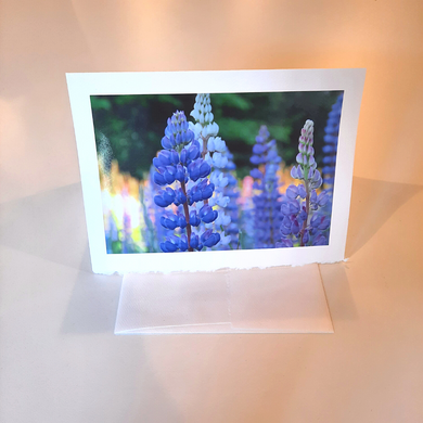 Match life's important moments and messages with a beautiful photo greeting card.  Blank Inside Handmade by local Wisconsin photographer, Cathy Zimmerman Printed in the USA Size: 7